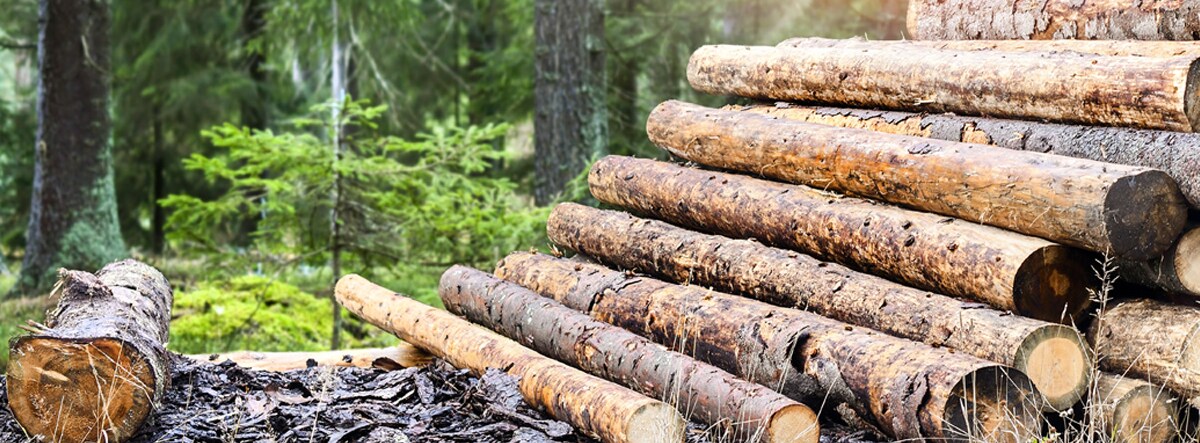 Debarking Logs