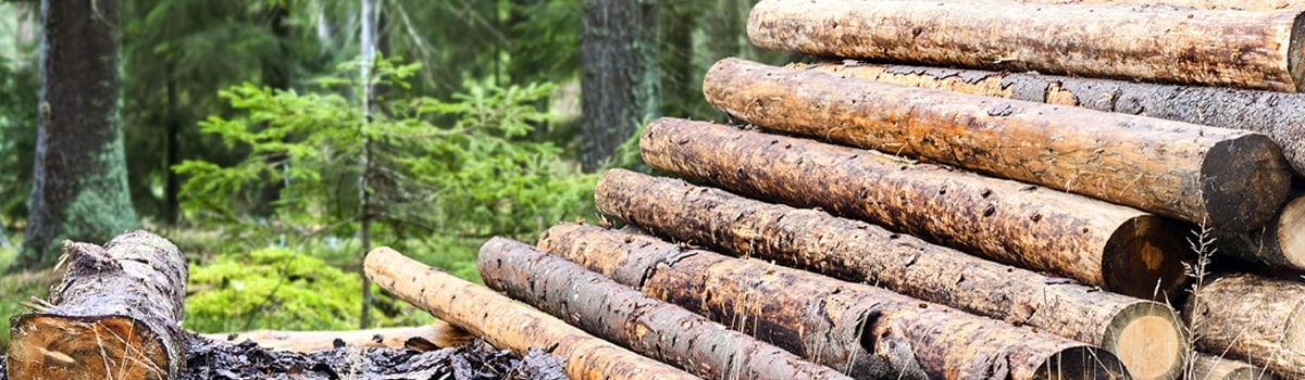 Debarking Logs
