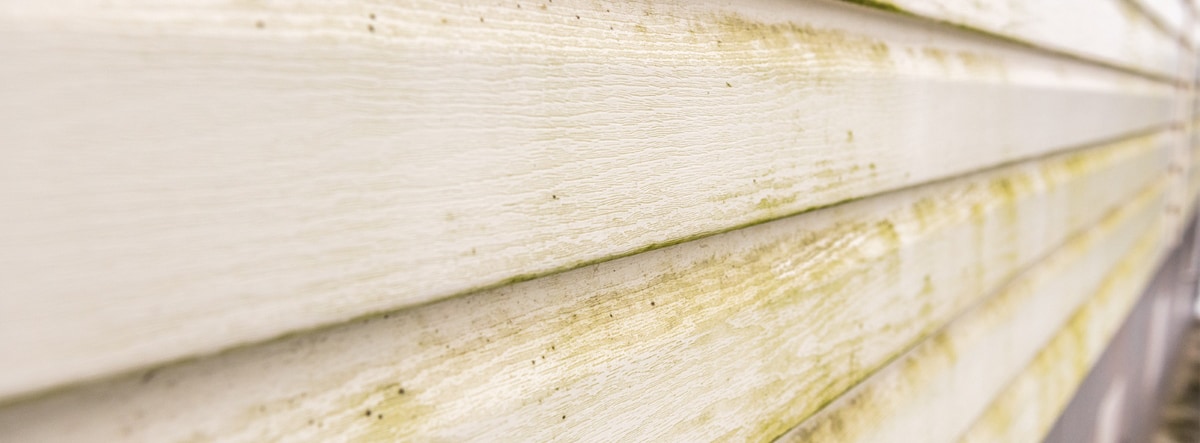 Removing Mildew from Your Siding