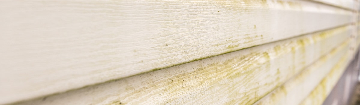 Removing Mildew from Your Siding
