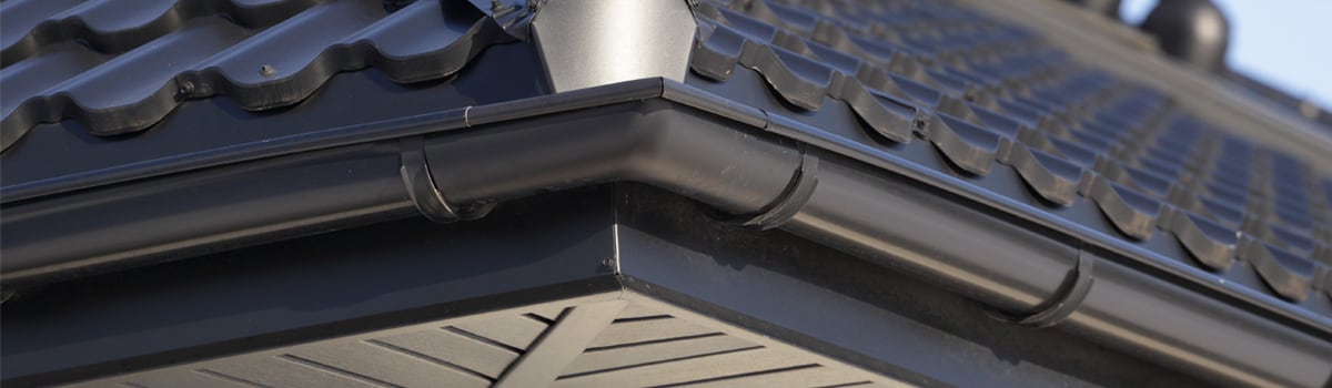 Pressure Washing Soffits and Gutters