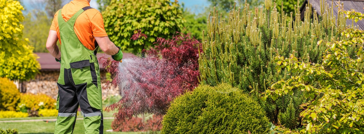 No Pressure Washer? No Problem