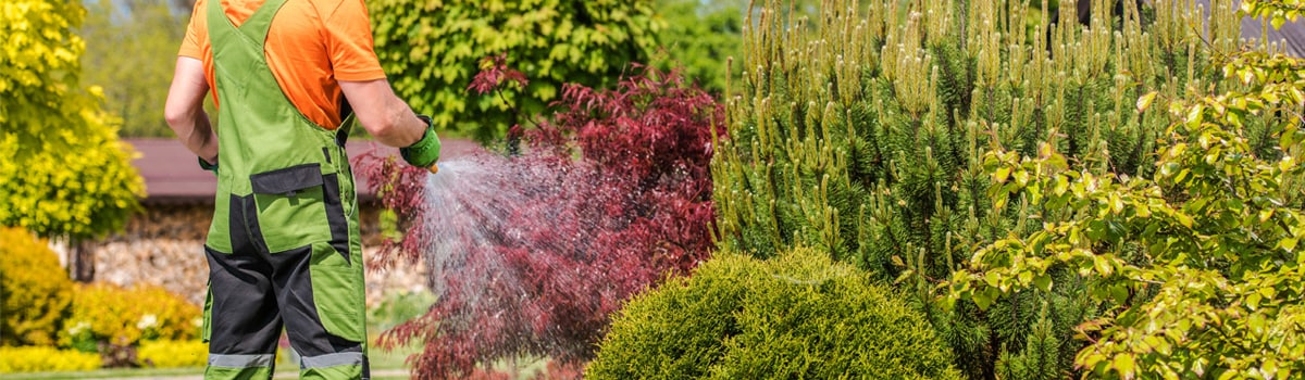 No Pressure Washer? No Problem