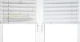 Blinded By the Cleanliness