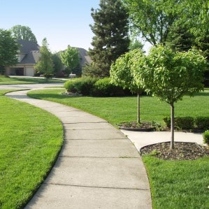 Clean Sidewalk After Pressure Washing