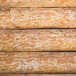 benefits of debarking