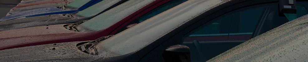 Earn Income Pressure Washing Cars