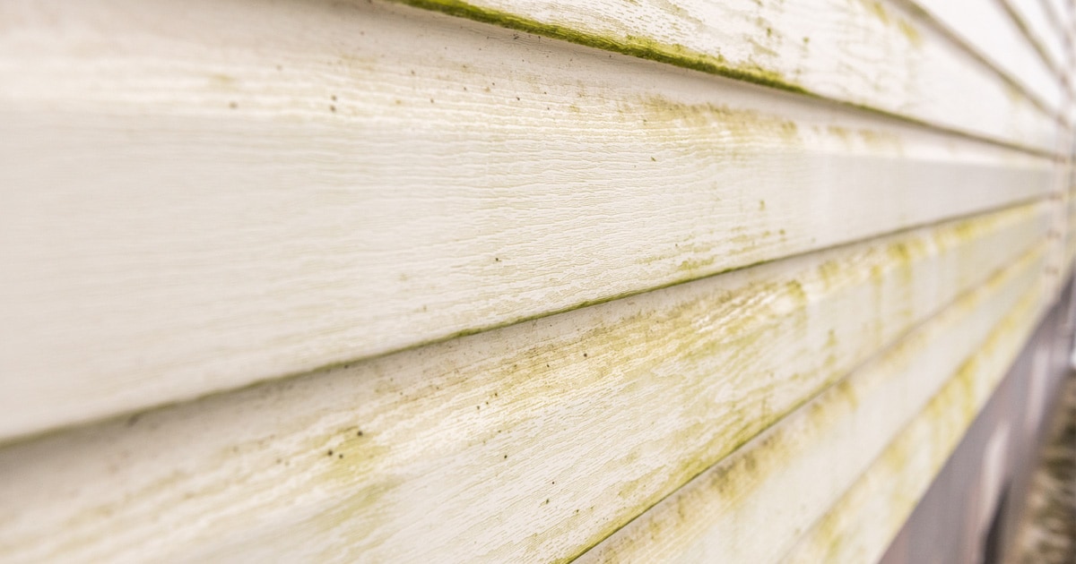 Removing Mildew from Your Siding