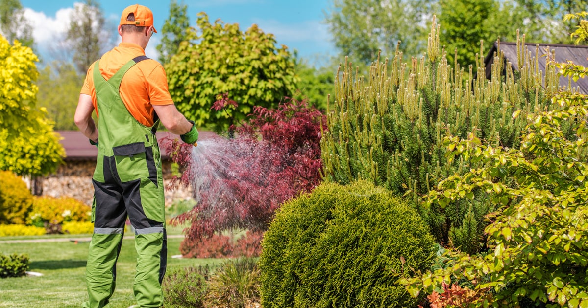 No Pressure Washer? No Problem