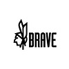 BravePro Cold Water Pressure Washer Brands Graphic