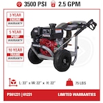 Simpson PS61231-S